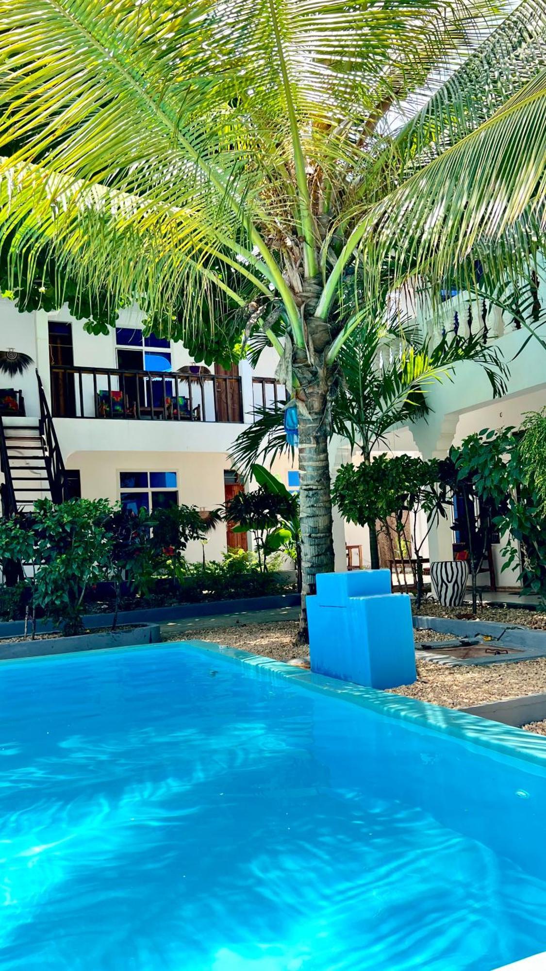 Kilimanjaro Bed & Breakfast Нунгви Екстериор снимка