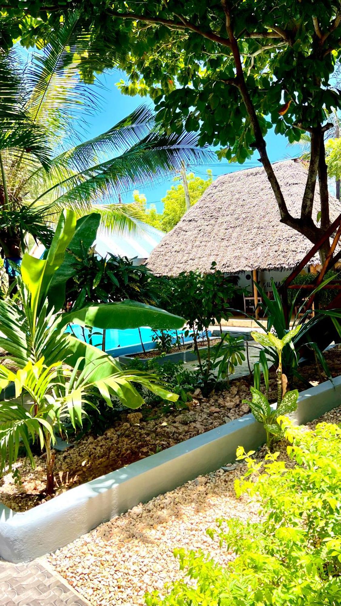 Kilimanjaro Bed & Breakfast Нунгви Екстериор снимка