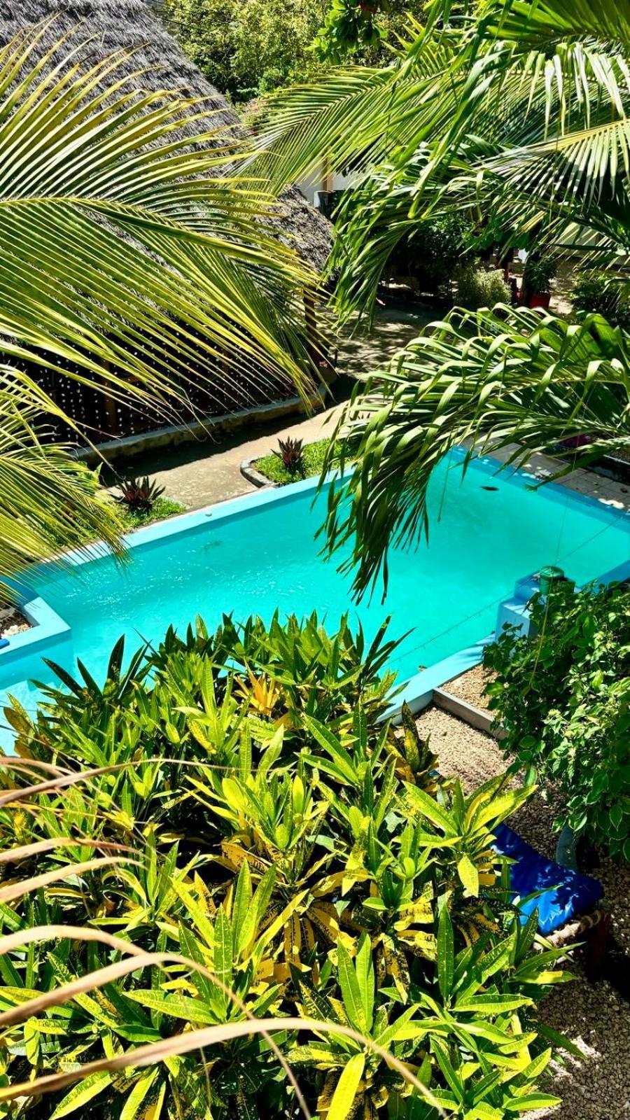 Kilimanjaro Bed & Breakfast Нунгви Екстериор снимка